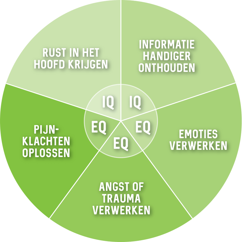 Deze afbeelding heeft een leeg alt-atribuut; de bestandsnaam is 150508-matrixmethode-de-oplossing-voor-mentale-problemen.png